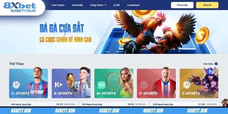 Hệ thống sẽ ngay lập tức mở ra một thế giới giải trí phong phú